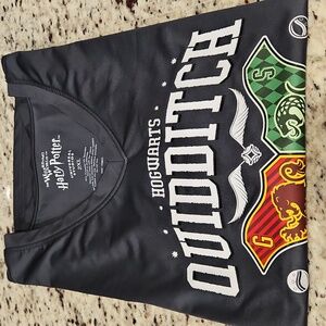 Harry Potter Hogwarts Quidditch Vneck Tee, Gray Size 2XL